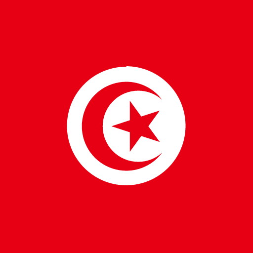 Prepaid eSIM for tunis with affordable data plans.